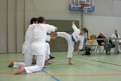 IMG_8177_bearbeitet-1