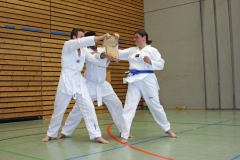 IMG_8181_bearbeitet-1