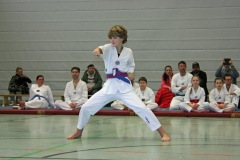 IMG_8184_bearbeitet-1