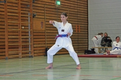 IMG_8185_bearbeitet-1