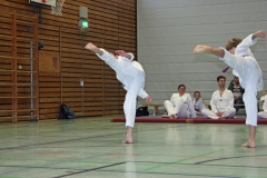 IMG_8206_bearbeitet-1