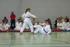 IMG_8247_bearbeitet-1