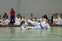 IMG_8248_bearbeitet-1