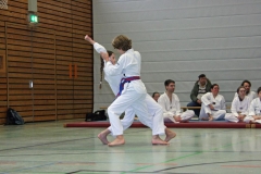 IMG_8251_bearbeitet-1