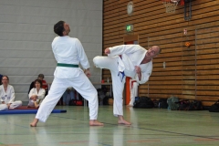 IMG_8253_bearbeitet-1