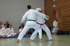 IMG_8257_bearbeitet-1