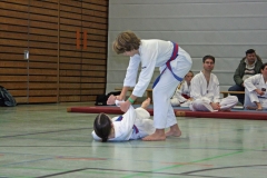 IMG_8260_bearbeitet-1