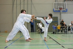 IMG_8273_bearbeitet-1