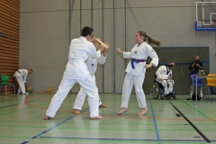 IMG_8276_bearbeitet-1