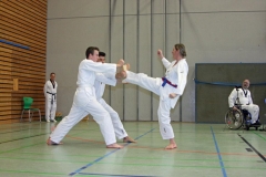 IMG_8277_bearbeitet-1