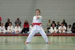 IMG_8279_bearbeitet-1