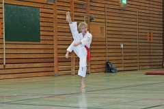 IMG_8289_bearbeitet-1