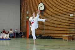 IMG_8294_bearbeitet-1