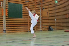 IMG_8295_bearbeitet-1