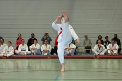 IMG_8296_bearbeitet-1