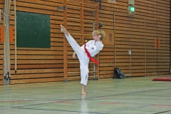 IMG_8301_bearbeitet-1