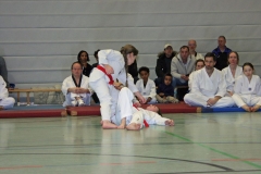 IMG_8353_bearbeitet-1