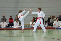 IMG_8360_bearbeitet-1