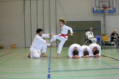 IMG_8389_bearbeitet-1