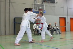 IMG_8390_bearbeitet-1