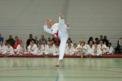 IMG_8407_bearbeitet-1