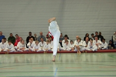 IMG_8410_bearbeitet-1