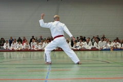 IMG_8433_bearbeitet-1