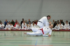 IMG_8447_bearbeitet-1