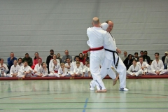 IMG_8449_bearbeitet-1