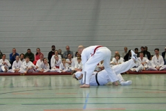 IMG_8450_bearbeitet-1