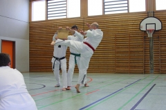 IMG_8475_bearbeitet-1