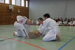 IMG_8478_bearbeitet-1