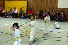 IMG_0332_bearbeitet-1