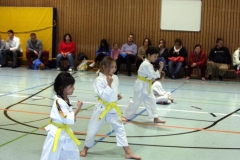 IMG_0333_bearbeitet-1