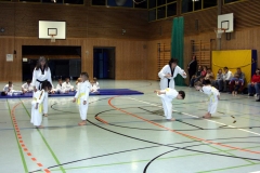 IMG_0334_bearbeitet-1