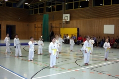 IMG_0367_bearbeitet-1