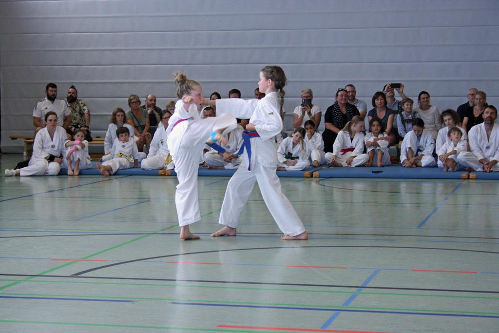 IMG_4925_bearbeitet-1