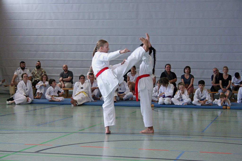 IMG_5002_bearbeitet-1