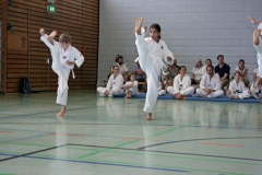 IMG_4686_bearbeitet-1