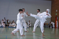 IMG_4695_bearbeitet-1