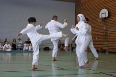 IMG_4698_bearbeitet-1