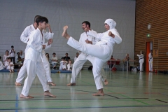 IMG_4699_bearbeitet-1