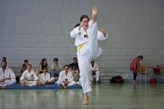 IMG_4709_bearbeitet-1