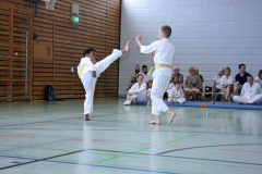 IMG_4728_bearbeitet-1