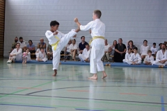 IMG_4729_bearbeitet-1