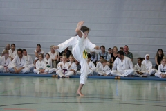 IMG_4735_bearbeitet-1