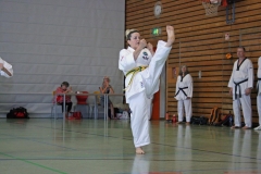 IMG_4737_bearbeitet-1