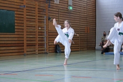 IMG_4773_bearbeitet-1