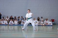 IMG_4795_bearbeitet-1