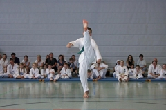 IMG_4806_bearbeitet-1